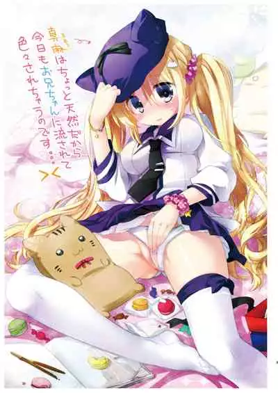 Imouto wa Kyou mo Ecchi Dekinai. Soushuuhen