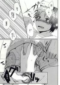 (Love Song ☆ Lesson ♪ 5th) [NinamoRe; (Ninamo)] A HOUSE CAT (Uta no Prince-sama)