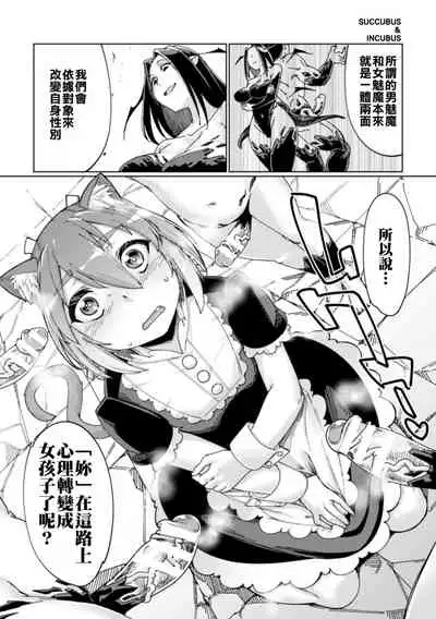 Wana Fumi Cat | The Cat That Steps on Traps