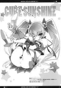 (C79) [life & Digital Flyer (Haga Yui & Ohta Yuuichi)] DIGITAL LIFE 2010 WINTER ff (Precure Series)