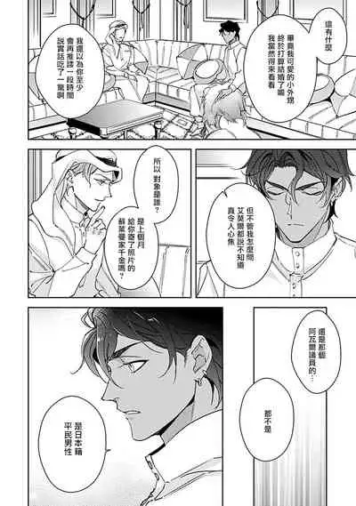 Amber Vanilla no Hanayome | 琥珀香草的新娘 Ch. 1-3