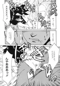 [Nekogen] Tsundere-san