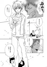 (Shadow Trickster 5) [Trough-Bird (Minase Taruhi)] Sweet Cherry Pink (Kuroko no Basuke)