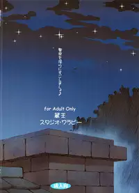 (C85) [Studio Wallaby (Kura Oh)] Seiya o midara ni sugoshi masho♪ (Neon Genesis Evangelion)
