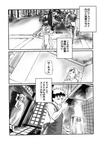 (COMIC1☆4) [Tsurugashima Heights (Hase Tsubura)] Ruriiro Tengoku (Martian Successor Nadesico)