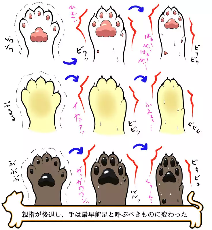 Kemo tan 1＠J-Chimera