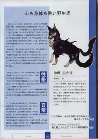 [XUSE]Seinarukana The Spirit of Eternity Sword 2 Material Book