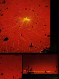 [TYPE-MOON (Takeuchi Takashi)] Fate stay nigh saber Avalon(fate stay night)t(chinese)