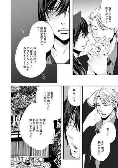 Aigan Neko no Yuuwaku