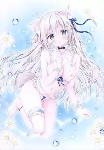 Chotto Ecchi na Hon 5