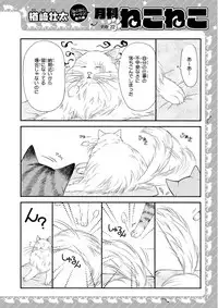 MAGAZINE BE×BOY 2015-12 [Digital]