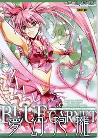 (C80) [BLUE GARNET (Serizawa Katsumi)] Mugen Houyou | Fantasy Embrace (Suite Precure♪) [English] =Shizuku + Super Shanko=