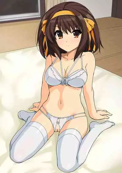 [Royal Bitch (Haruhisky)] Haruhi Lingerie Collection 01 (Suzumiya Haruhi no Yuuutsu) [Decensored]