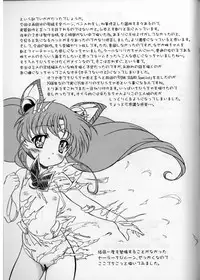 (C84) [COUNTER ATTACK (Gyakushuu Takeshi)] Pink Sugar 20th Anniversary Special (Bishoujo Senshi Sailor Moon)
