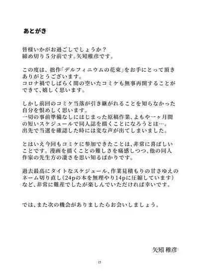 Delphinium no Hanataba