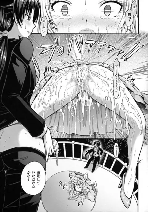 Seigi no Heroine Kangoku File DX vol. 5