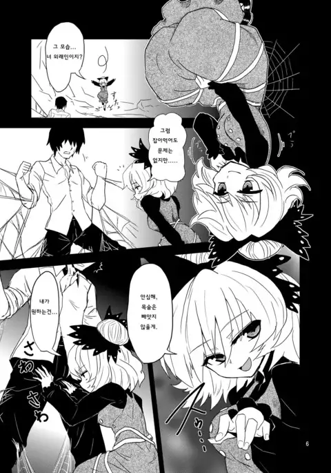 Arachnophilia | 아라크노필리아