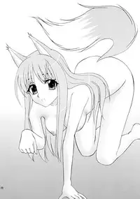 (COMIC1☆2) [Almond Republic (Aimirucha)] Ookami no Full Course (Spice and Wolf)