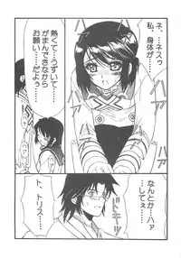 (C69) [BLUE GARNET (Serizawa Katsumi)] THE-VALKYRIE (Final Fantasy Tactics)