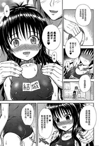 (C88) [KURUBUSI-KAI (Dowarukofu)] Onii-chan to Issho (To LOVE-Ru) [Chinese] [脸肿汉化组]