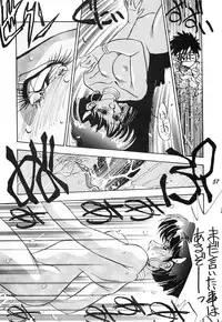 (C39) [PUSSY CAT (Various)] PUSSY CAT Vol.19 Nadia Hon 2 (Various)