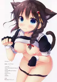 (C90) [Ameya. (Ameya Kirica)] Neko-ka Kaishuu o Okonaimasu ka? (Kantai Collection -KanColle-) [Chinese] [绅士仓库汉化]