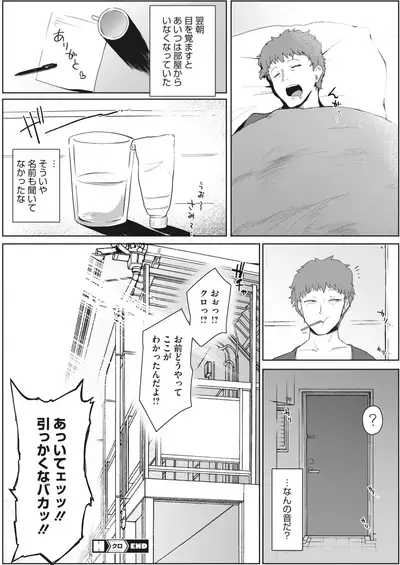 COMIC HOTMILK 2022-04