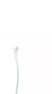 Hooker Ch.1-34 (English) (Ongoing)