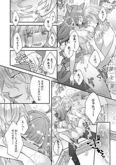 Nene to Ikoku no Mahoutsukai Isekai ni Shoukan Sareta to Omottara, Naze ka Koneko to shite Aigan Saretemasu 1-5