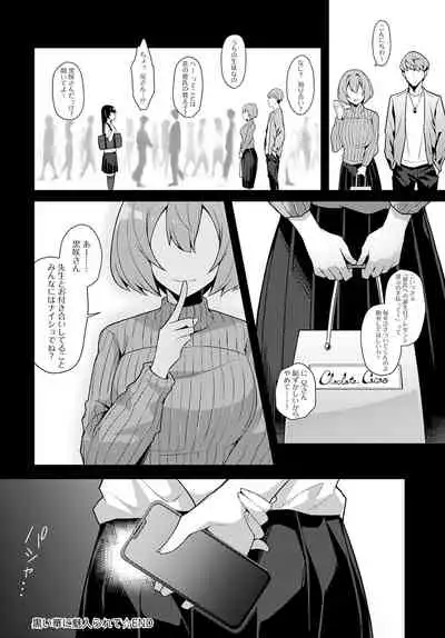 COMIC Anthurium 2022-04