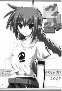 (SC34) [Yoru no Benkyoukai (Fumihiro)] Vita no Hon | Vita Book (Mahou Shoujo Lyrical Nanoha) [English] [SaHa]