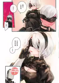 [Aoinhatsu (Aoin)] 2B9S (NieR:Automata) [Chinese] [Digital]
