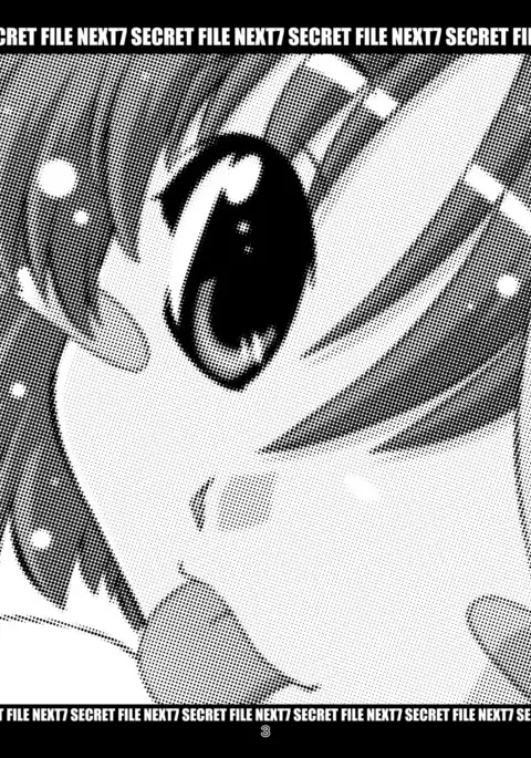 SECRET FILE NEXT 7 - Komugi-chan Ikebukuro ni iku