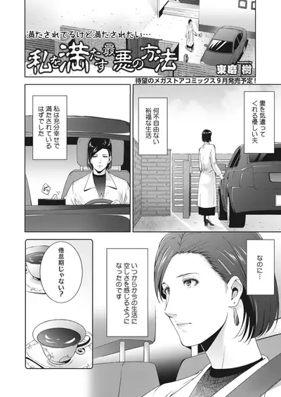 COMIC HOTMiLK Koime Vol. 29