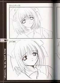 (C63) [JOKER TYPE (Nishimata Aoi)] rebirth (Sore wa Maichiru Sakura no Youni)