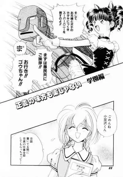 [Hikaru Nagareboshi] Seigi No Mikata Mo Raku Zya Nai