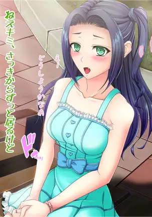 Toaru Furyou no Kousei Nikki - Natsuyasumi no Toho -