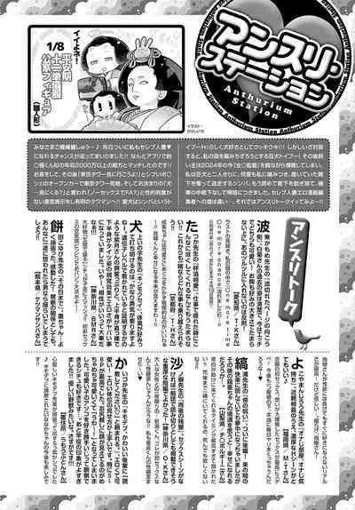 COMIC Anthurium 2024-04