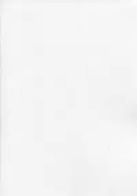 (C86) [Type-G, Studio Himawari (Himukai Kyousuke, Ishigaki Takashi)] UNISON [Lyrical ☆ Nanoha Goudoushi] (Mahou Shoujo Lyrical Nanoha) [Chinese] [无毒汉化组 ＆ 脸肿汉化组]