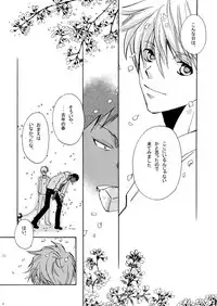 (Shadow Trickster 5) [Trough-Bird (Minase Taruhi)] Sweet Cherry Pink (Kuroko no Basuke)