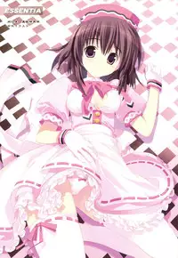 (COMIC1☆3) [ESSENTIA & Yan-Yam (Fujima Takuya, Yan-Yam)] Tora-Chee! (Toradora!)