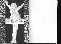 Dragonball for adult