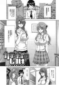 COMIC HANA-MAN 2014-12