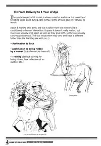 (C83) [Hyakki Yakou (Z-ton)] Centaur Musume de Manabu Hajimete no Thoroughbred | Learning With Centaur Girls: Introduction To The Thoroughbred [English] [4dawgz + Thetsuuyaku]