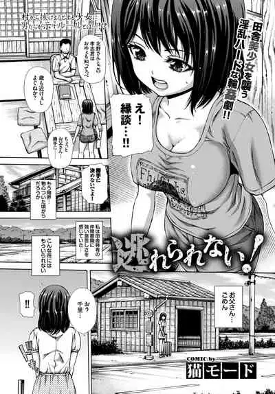 COMIC BAVEL 2015-02