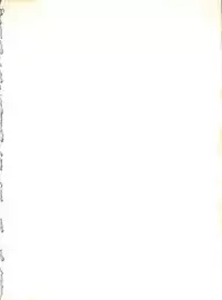 (C50) [Sairo Publishing (J.Sairo)] Yamainu Volume. 3 (Various)