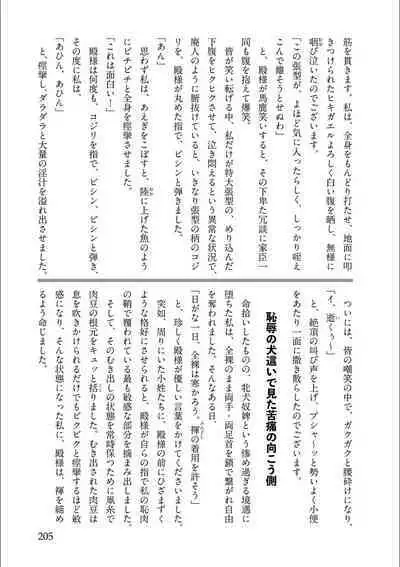 Tenpou Momoiro Suikoden 3