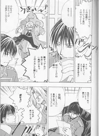 [milano (Shimotsuki Sakuya)] Beauty and The beast -mirror in world- (Fullmetal Alchemist)