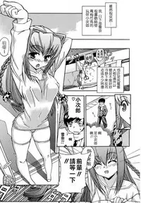 Hatsu Inu - Anfang Hund