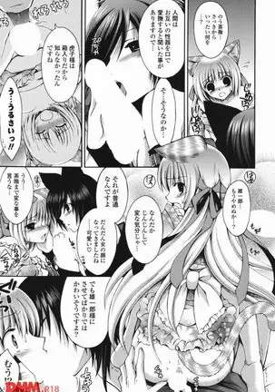 オトメ解禁日 しーざー